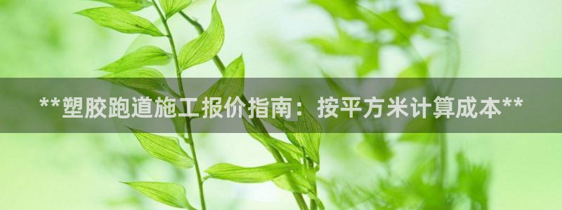 谈球吧的聊天软件叫什么：**塑胶跑道施工报价指南：按平方米计算成本**