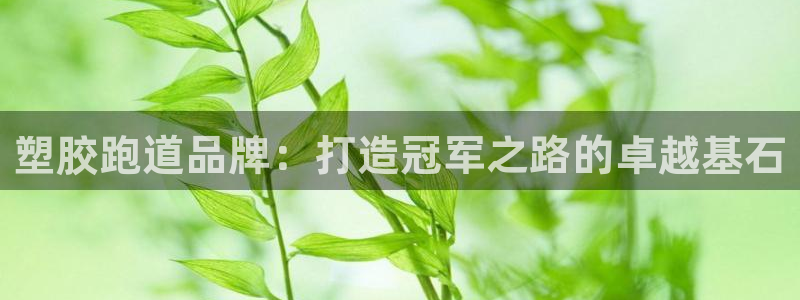 谈球吧体育app登陆：塑胶跑道品牌：打造冠军之路的卓越基石