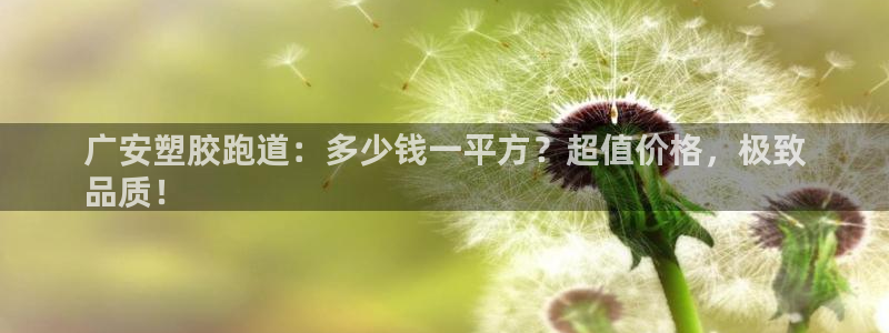 谈球吧是黑台子吗知乎小说：广安塑胶跑道：多少钱一平方？超值价格，极致
品质！
