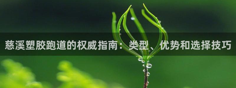 谈球吧体育app下载中心官方网站：慈溪塑胶跑道的权威指南：类型、优势和选择技巧