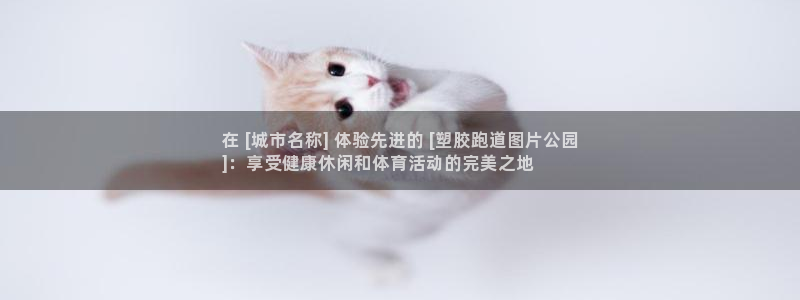 谈球吧体育app下载官网手机版安装