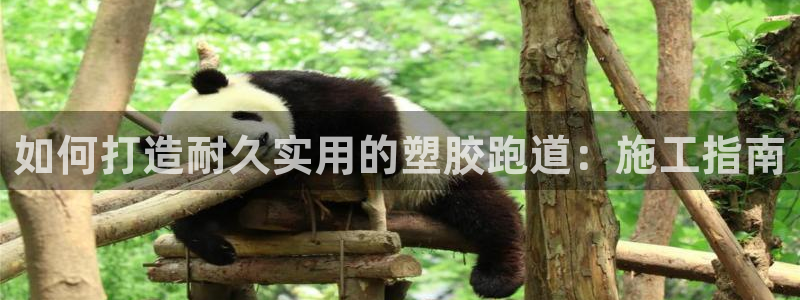 谈球吧官网首页：如何打造耐久实用的塑胶跑道：施工指南