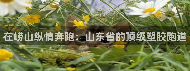 谈球吧平台正规吗可信吗安全吗