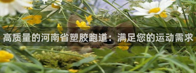 谈球吧app体育下载官网：高质量的河南省塑胶跑道：满足您的运动需求