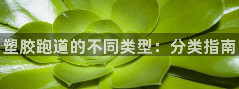 谈球吧属于哪个旗下的品牌：塑胶跑道的不同类型：分类指南