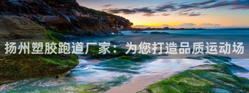 谈球吧是黑台子吗还是白台子好：扬州塑胶跑道厂家：为您打造品质运动场