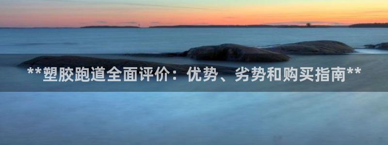 谈球吧官方网站：**塑胶跑道全面评价：优势、劣势和购买指南**