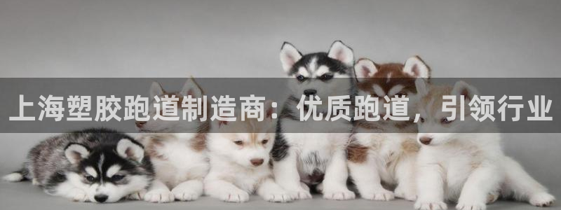 谈球吧体育app下载官网手机版安装：上海塑胶跑道制造商：优质跑道，引领行业