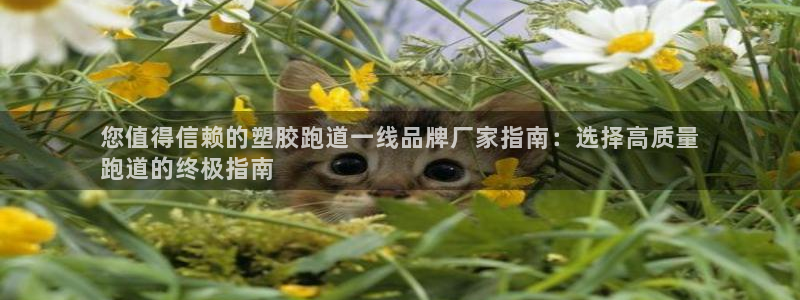 谈球吧体育app下载足球直播：您值得信赖的塑胶跑道一线品牌厂家指南：选择高质量
跑道的终极指南