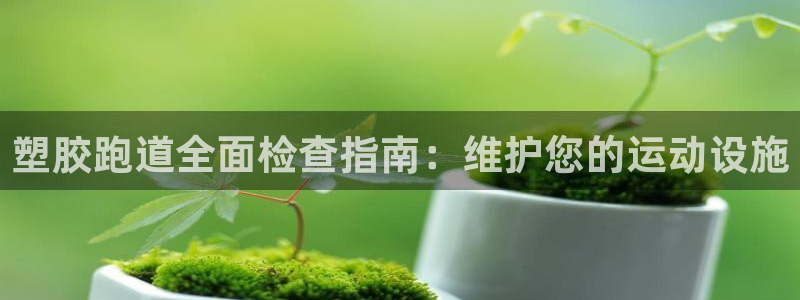 谈球吧网址：塑胶跑道全面检查指南：维护您的运动设施