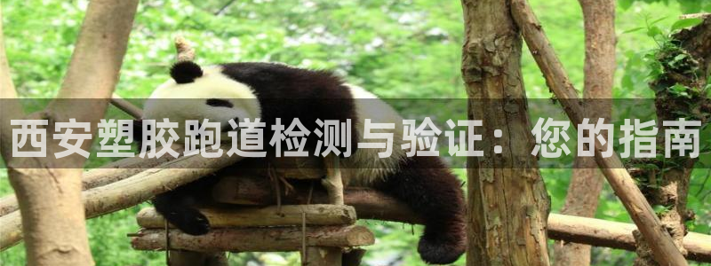 谈球吧红包码：西安塑胶跑道检测与验证：您的指南