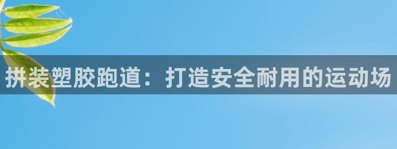 谈球吧是黑台子吗：拼装塑胶跑道：打造安全耐用的运动场