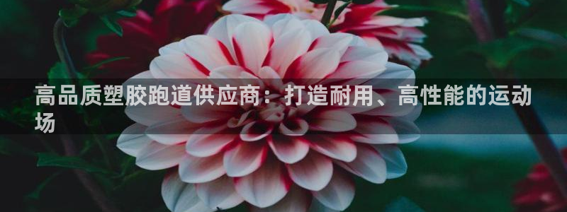 谈球吧首页：高品质塑胶跑道供应商：打造耐用、高性能的运动
场