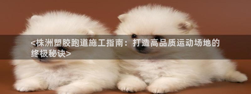 谈球吧是黑台子吗是真的吗：<株洲塑胶跑道施工指南：打造高品质运动场地的
终极秘诀>