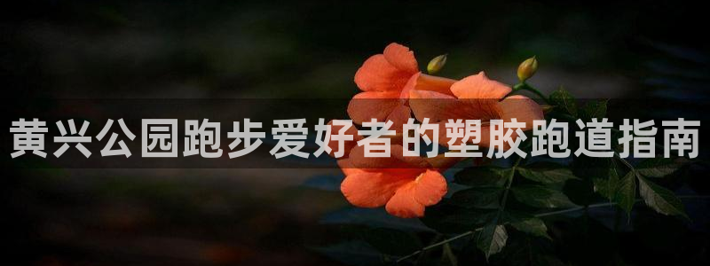 谈球吧平台：黄兴公园跑步爱好者的塑胶跑道指南