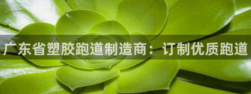 谈球吧娱乐app下载官网苹果：广东省塑胶跑道制造商：订制优质跑道