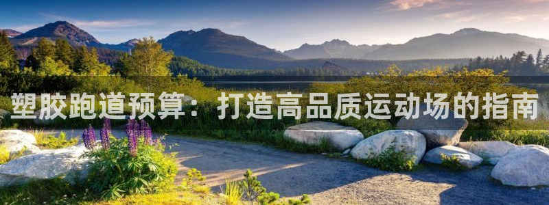 谈球吧：塑胶跑道预算：打造高品质运动场的指南