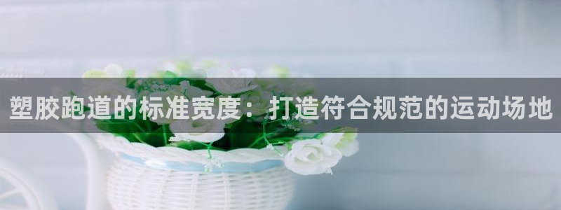 谈球吧app下载：塑胶跑道的标准宽度：打造符合规范的运动场地