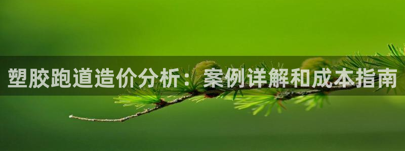 谈球吧体育app官网：塑胶跑道造价分析：案例详解和成本指南