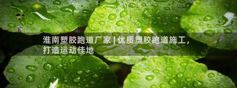 谈球吧网页版：淮南塑胶跑道厂家 | 优质塑胶跑道施工，
打造运动佳地