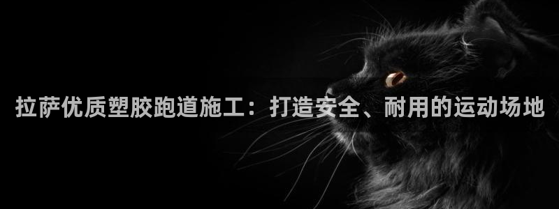 谈球吧体育app官网下载安卓：拉萨优质塑胶跑道施工：打造安全、耐用的运动场地