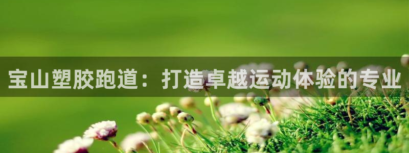 谈球吧怎么样?：宝山塑胶跑道：打造卓越运动体验的专业