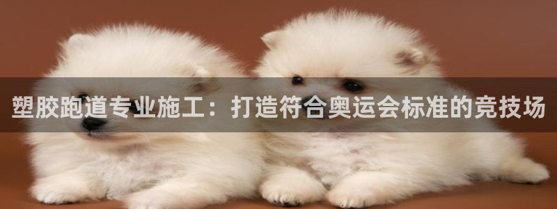 谈球吧网址：塑胶跑道专业施工：打造符合奥运会标准的竞技场