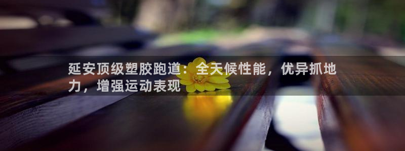 谈球吧平台app下载网址：延安顶级塑胶跑道：全天候性能，优异抓地
力，增强运动表现
