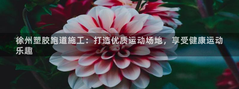 谈球吧体育app下载中心官方：徐州塑胶跑道施工：打造优质运动场地，享受健康运动
乐趣