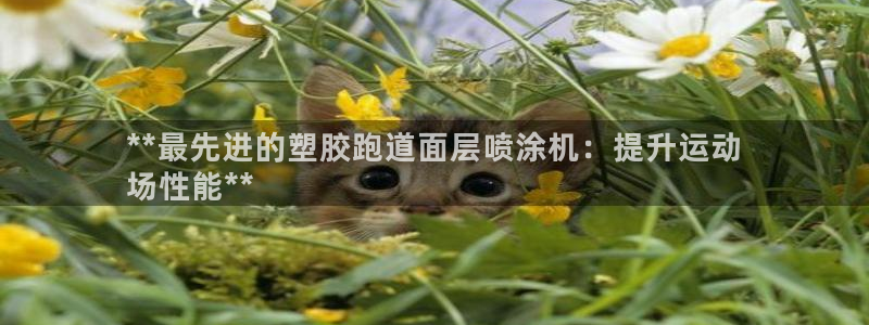 谈球吧是黑台子吗还是白台：**最先进的塑胶跑道面层喷涂机：提升运动
场性能**