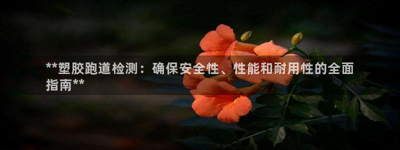 谈球吧官网在线入口免费观看视频网站：**塑胶跑道检测：确保安全性、性能和耐用性的全面
指南**