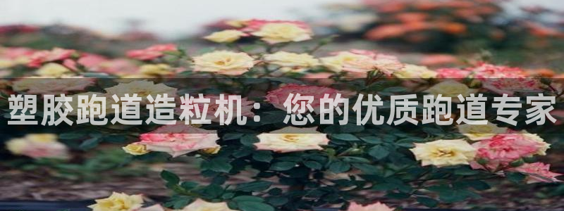 谈球吧网页版在线入口：塑胶跑道造粒机：您的优质跑道专家