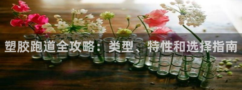 谈球吧app在哪里下载：塑胶跑道全攻略：类型、特性和选择指南