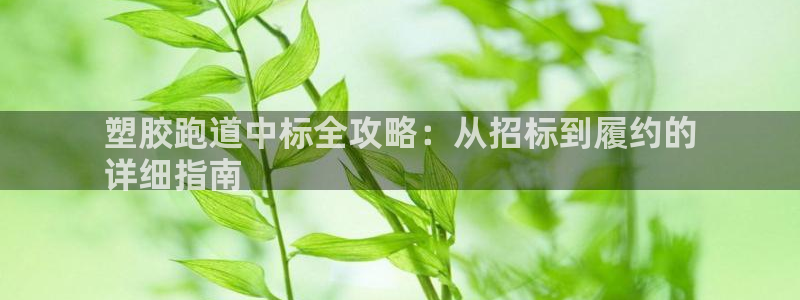 谈球吧账号有人收吗