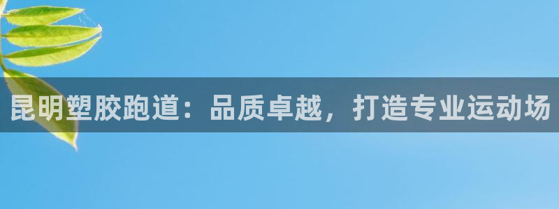 谈球吧买球是正规的吗：昆明塑胶跑道：品质卓越，打造专业运动场