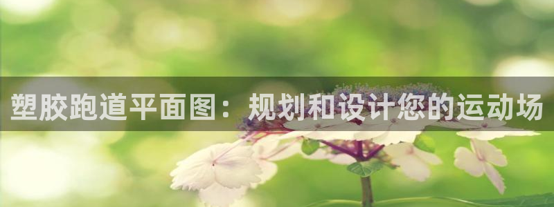 谈球吧app在哪里下载：塑胶跑道平面图：规划和设计您的运动场