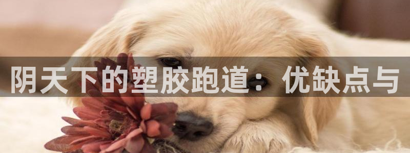 谈球吧体育app下载官网安卓：阴天下的塑胶跑道：优缺点与