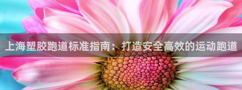 谈球吧能提现不：上海塑胶跑道标准指南：打造安全高效的运动跑道