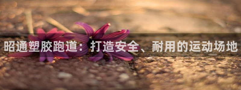 谈球吧下载地址：昭通塑胶跑道：打造安全、耐用的运动场地