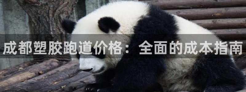 谈球吧娱乐app下载官网苹果：成都塑胶跑道价格：全面的成本指南