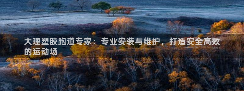 谈球吧官网在线入口免费观看视频网站：大理塑胶跑道专家：专业安装与维护，打造安全高效
的运动场