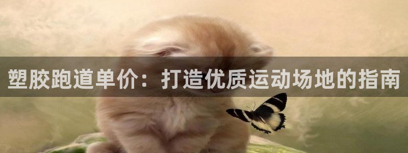 谈球吧app靠谱吗：塑胶跑道单价：打造优质运动场地的指南