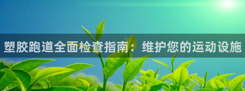 谈球吧登录网：塑胶跑道全面检查指南：维护您的运动设施