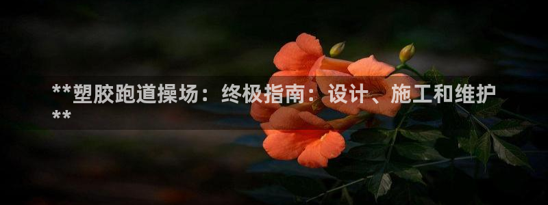 谈球吧体育app官网下载安卓