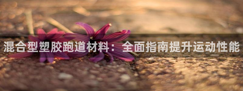 谈球吧首充金额截图：混合型塑胶跑道材料：全面指南提升运动性能
