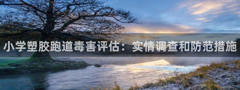 谈球吧是黑台子吗还是白台子：小学塑胶跑道毒害评估：实情调查和防范措施