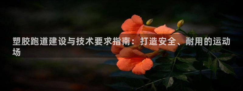 谈球吧在线登录：塑胶跑道建设与技术要求指南：打造安全、耐用的运动
场