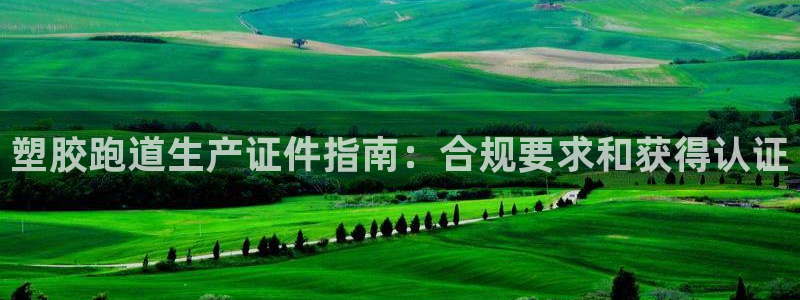 谈球吧官网在线入口手机版免费：塑胶跑道生产证件指南：合规要求和获得认证