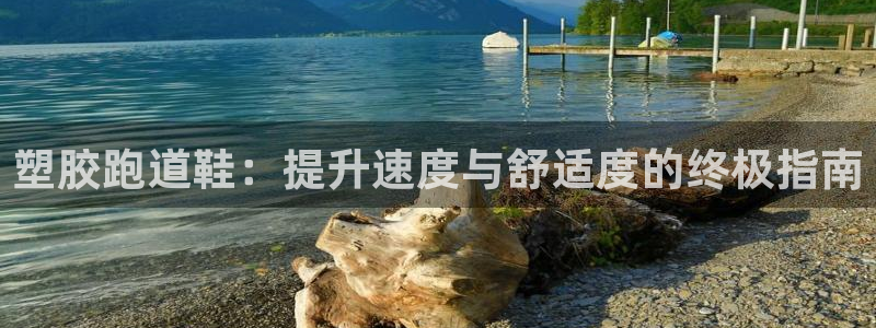 谈球吧平台app下载网址是多少：塑胶跑道鞋：提升速度与舒适度的终极指南