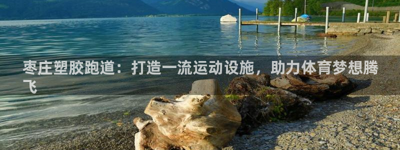 谈球吧app官网下载安卓：枣庄塑胶跑道：打造一流运动设施，助力体育梦想腾
飞